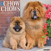 Buy Chow Chows 2027 Wall Calendar