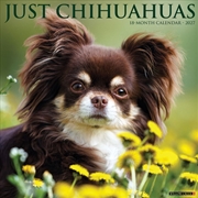 Buy Chihuahuas 2027 Wall Calendar