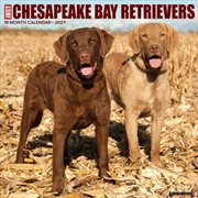 Buy Chesapeake Bay Retrievers 2027 Wall Calendar