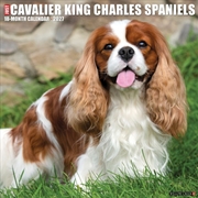 Buy Cavalier King Charles Spaniels 2027 Wall Calendar