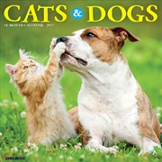Buy Cats & Dogs 2027 Wall Calendar