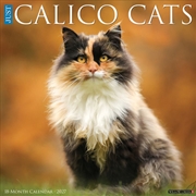 Buy Calico Cats 2027 Wall Calendar