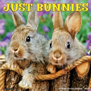 Buy Bunnies 2027 Wall Calendar