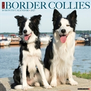 Buy Border Collies 2027 Wall Calendar