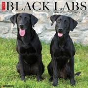 Buy Black Labs 2027 Wall Calendar