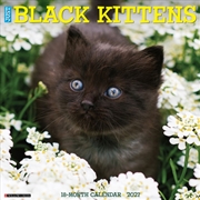 Buy Black Kittens 2027 Wall Calendar