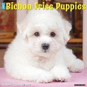 Buy Bichon Frise Puppies 2027 Wall Calendar