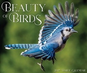 Buy Beauty of Birds 2027 Box Calendar
