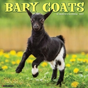 Buy Baby Goats 2027 Wall Calendar