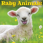 Buy Baby Animals 2027 Wall Calendar