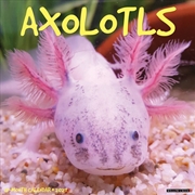 Buy Axolotls 2027 Wall Calendar