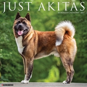 Buy Akitas 2027 Wall Calendar