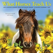 Buy What Horses Teach Us 2027 Mini Calendar