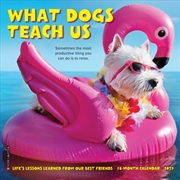 Buy What Dogs Teach Us 2027 Mini Calendar