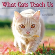 Buy What Cats Teach Us 2027 Mini Calendar