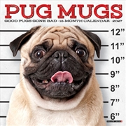 Buy Pug Mugs 2027 Mini Calendar