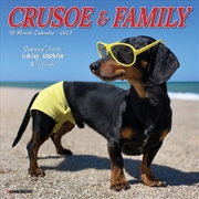 Buy Crusoe & Friends 2027 Mini Calendar