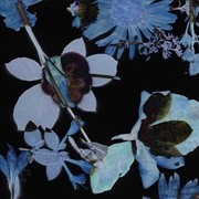 Buy Broken Mirror & Everything Ends - Remixes - 7' Blue Eco Mix