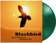 Buy Blackbird - Green Vinyl