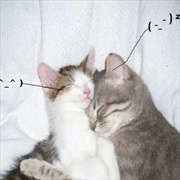Buy I Love You So!