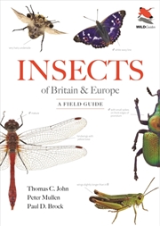 Buy Insects of Britain and Europe : A Field Guide