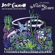 Buy Night Bloom