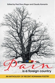 Buy Pain is a Foreign Country