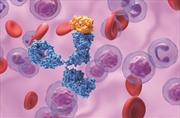 Buy Systemic Anti-Cancer Therapy for Nurses