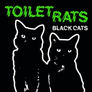 Buy Black Cats