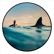 Buy Radical Optimism - Picture Disc Edition