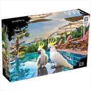 Buy Cocky Resort AR Edition