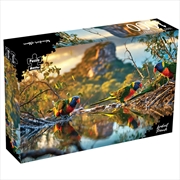 Buy Lorikeet Friends 2.0