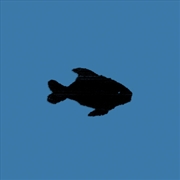 Buy Oxis 8 - Turquoise Vinyl