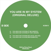Buy You Are In My System