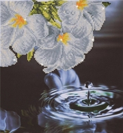 Buy Water Droplet