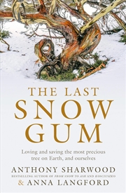 Buy The Last Snow Gum