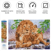 Buy Lion Family