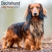Buy Dachshund Longhaired SS Wall Calendar 2027