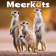 Buy Meerkats SS Wall Calendar 2027