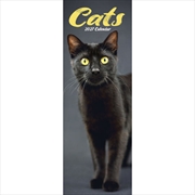 Buy Cats Slim Calendar 2027