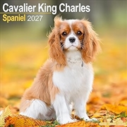 Buy Cavalier King Charles Spaniel Wall Calendar 2027