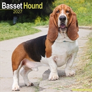 Buy Basset Hound Wall Calendar 2027