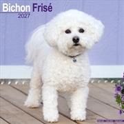 Buy Bichon Frise Wall Calendar 2027