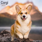 Buy Corgis Wall Calendar 2027