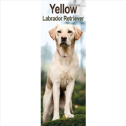 Buy Labrador Retriever Yellow Slim Calendar 2027