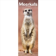 Buy Meerkats Slim Calendar 2027