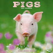 Buy Pigs Wall Calendar 2027