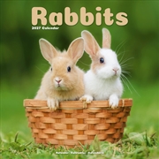 Buy Rabbits Wall / AVONSI Calendar 2027