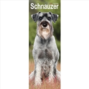 Buy Schnauzer Slim Calendar 2027