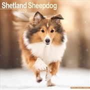 Buy Shetland Sheepdog Wall Calendar 2027
